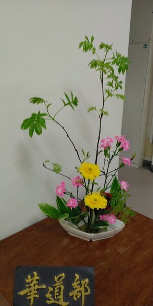 334新潟210413学5 (1).JPG