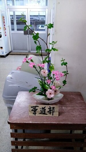 334新潟210413学5 (2).jpg