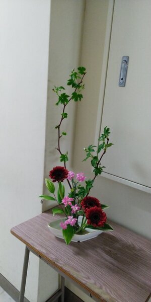 334新潟210413学5 (4).JPG