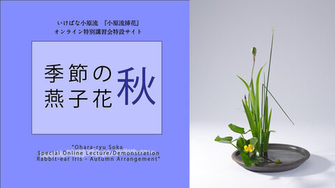 いけばな小原流