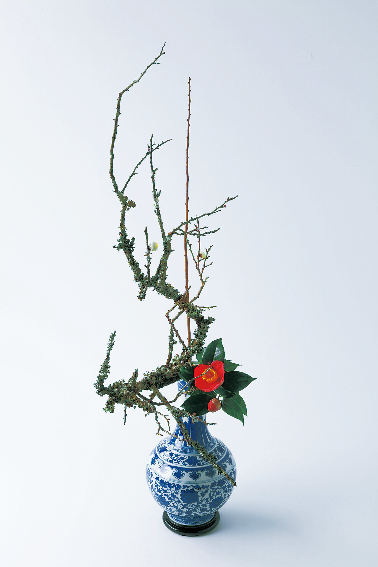 1月15日(土)花専科お申込み開始！ | いけばな小原流