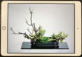 ebooksipad.jpgのサムネイル画像