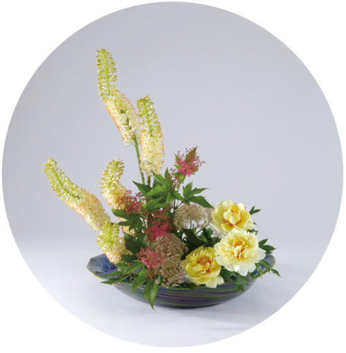 _59A3295[43]+.png