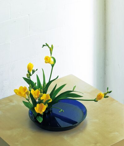 h25-0235099a補trim.jpg