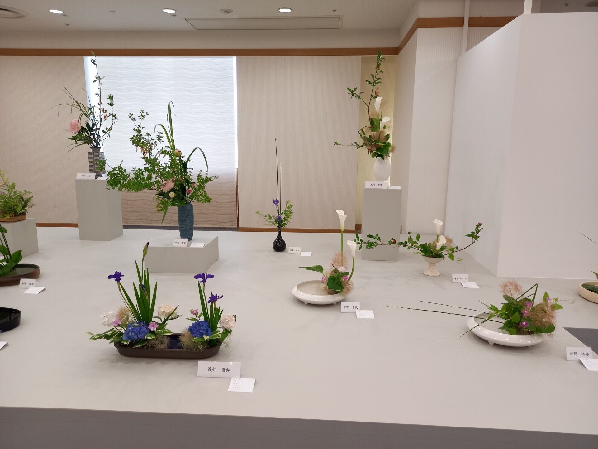 花の輪･人の輪みんなの花展 ｢夏の色｣（松山支部） | いけばな小原流