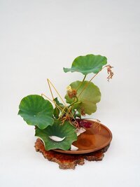 @yili2802.jpg