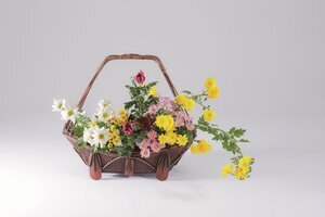 菊５色色手付唐物籠のコピー.JPG