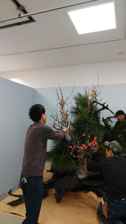 いけ協展_5.jpgのサムネイル画像