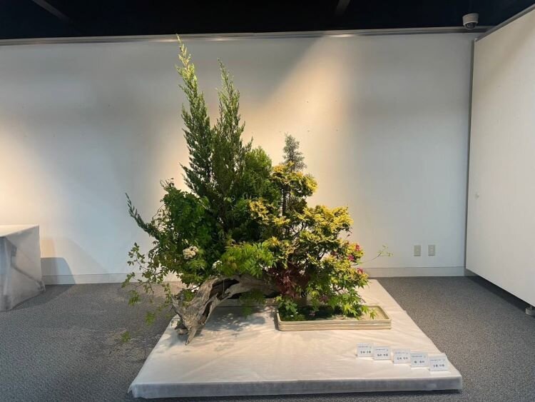 花の輪・人の輪ーみんなの花展 白山・野々市地区展（金沢支部