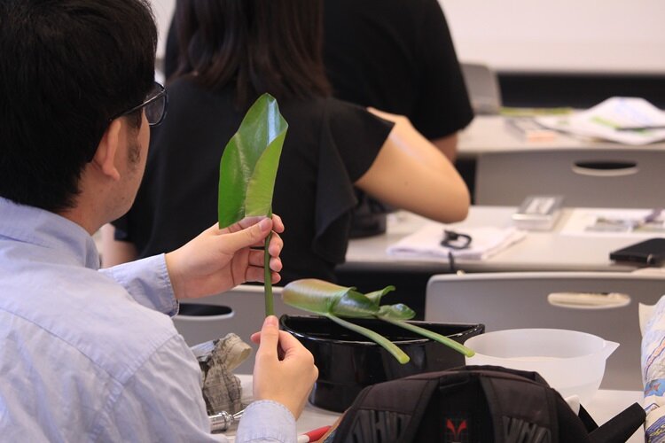 学生河骨見てる.jpg