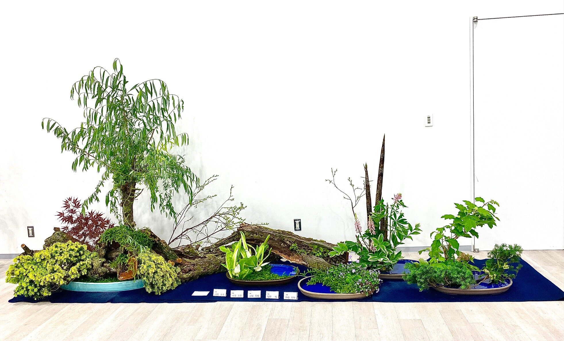 花の輪人の輪みんなの花展 2025 山形支部 | いけばな小原流