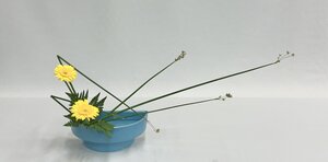 102小森陽華.jpg