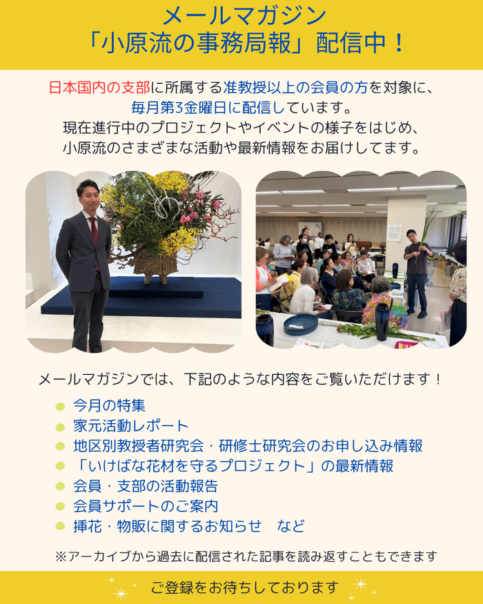 メルマガ登録 (1).png