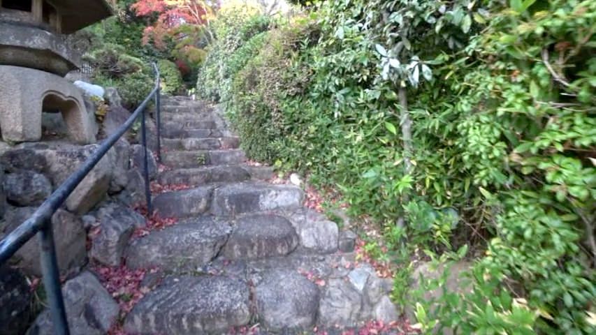 小原流 盛花記念センター24