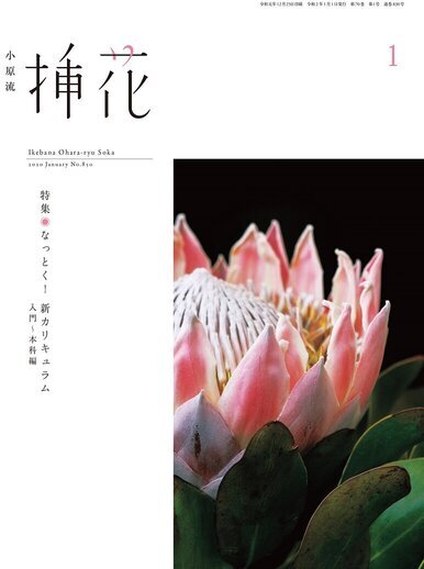 小原流挿花2020年1月号