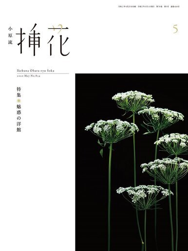 月刊誌挿花2020年5月号