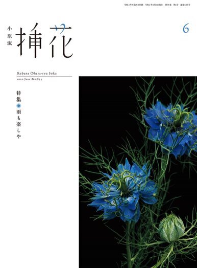 月刊誌挿花2020年6月号