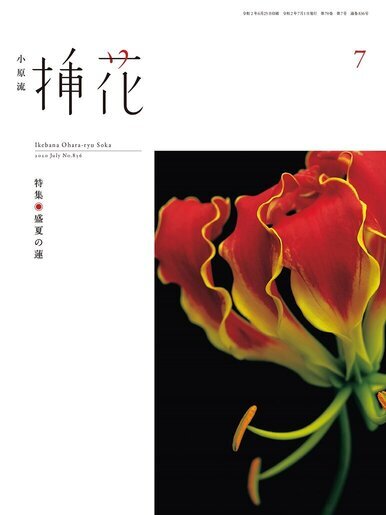 小原流挿花2020年7月号