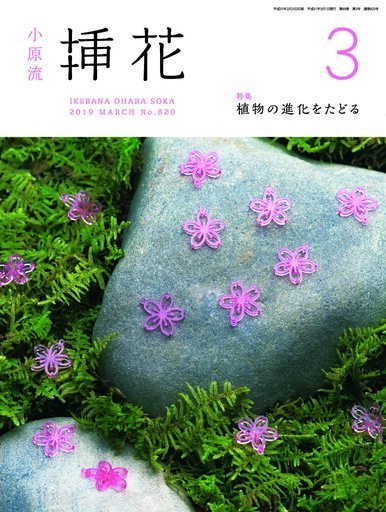 小原流挿花2019年3月号