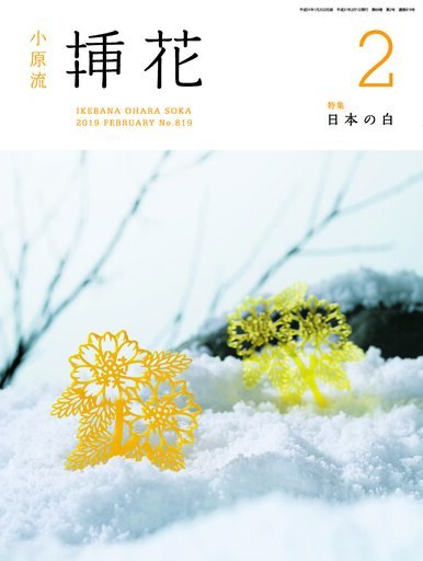 小原流挿花2019年2月号