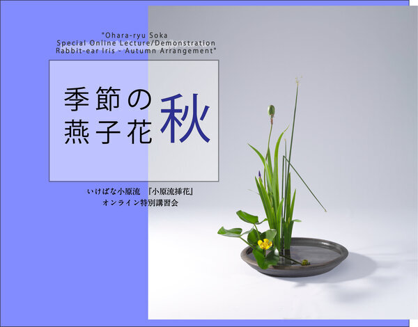 燕子花秋トップ画像.jpg
