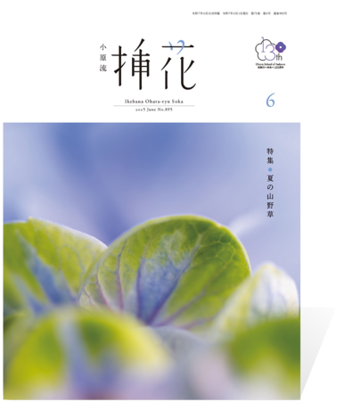 挿花 2025年6月号