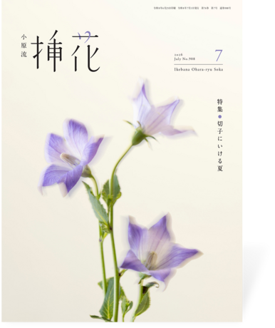 小原流挿花2026年7月号