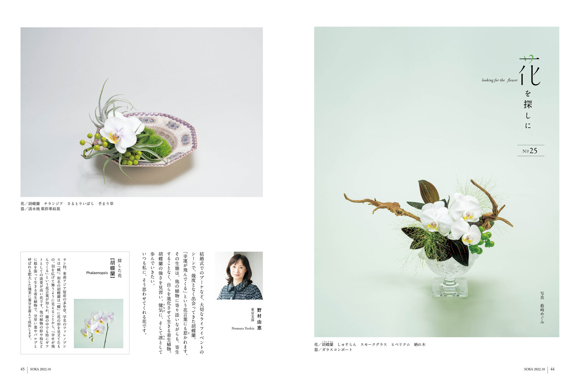 月刊誌挿花 2022年 10月号 | いけばな小原流
