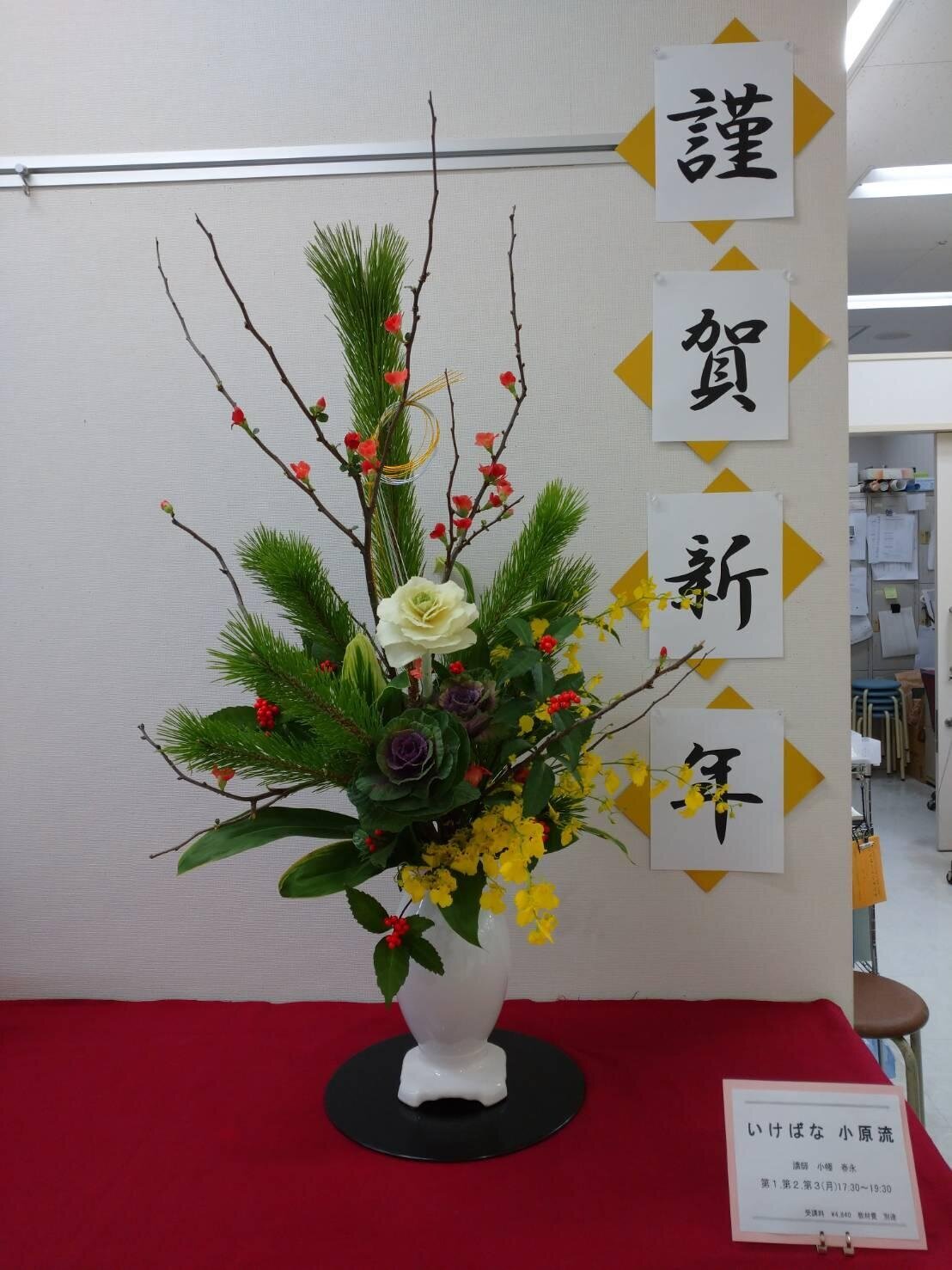 image3.jpg