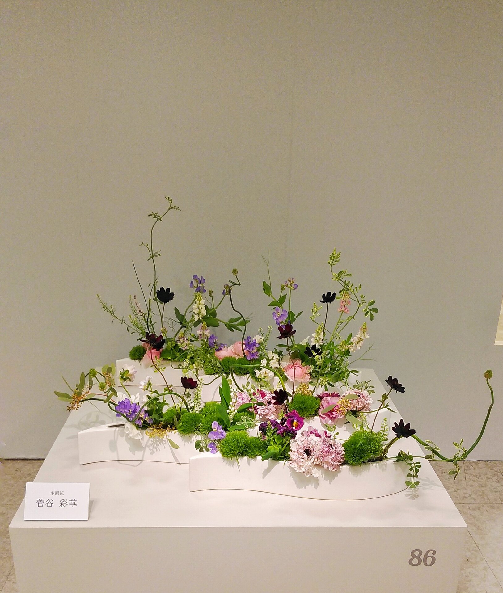二次展菅谷先生.jpeg