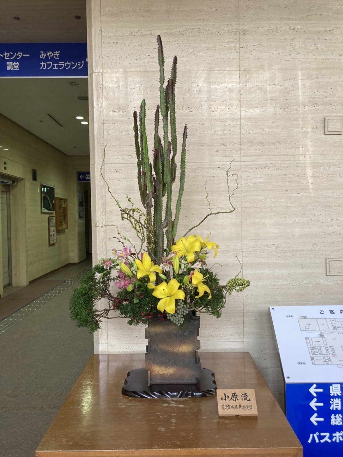 S__4685851.jpg