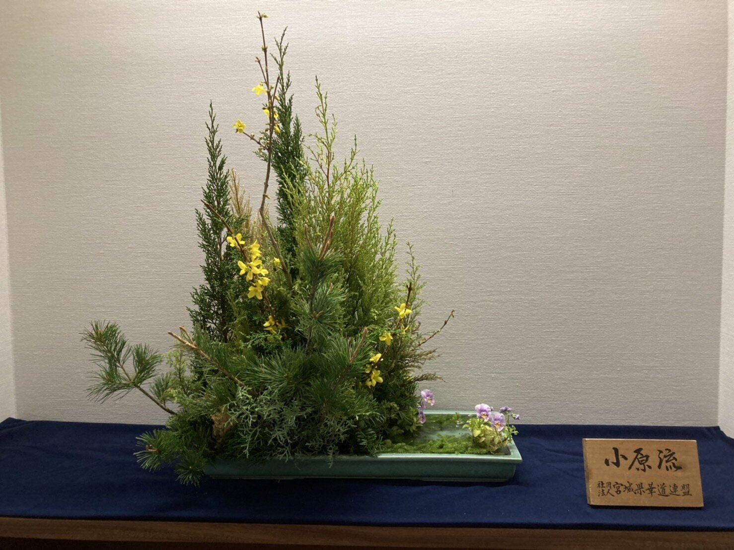 S__4734981.jpg
