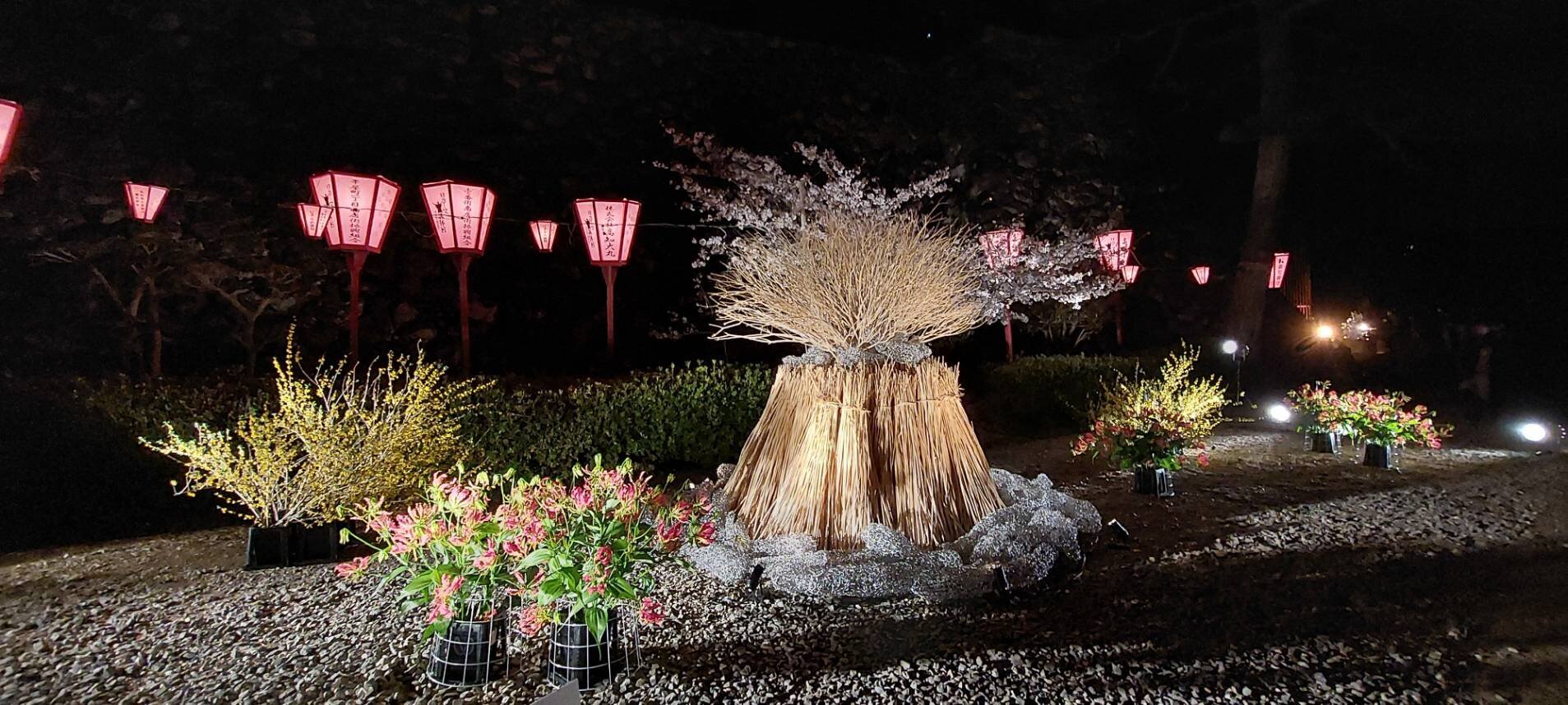 花回廊　2022　⑫.jpg