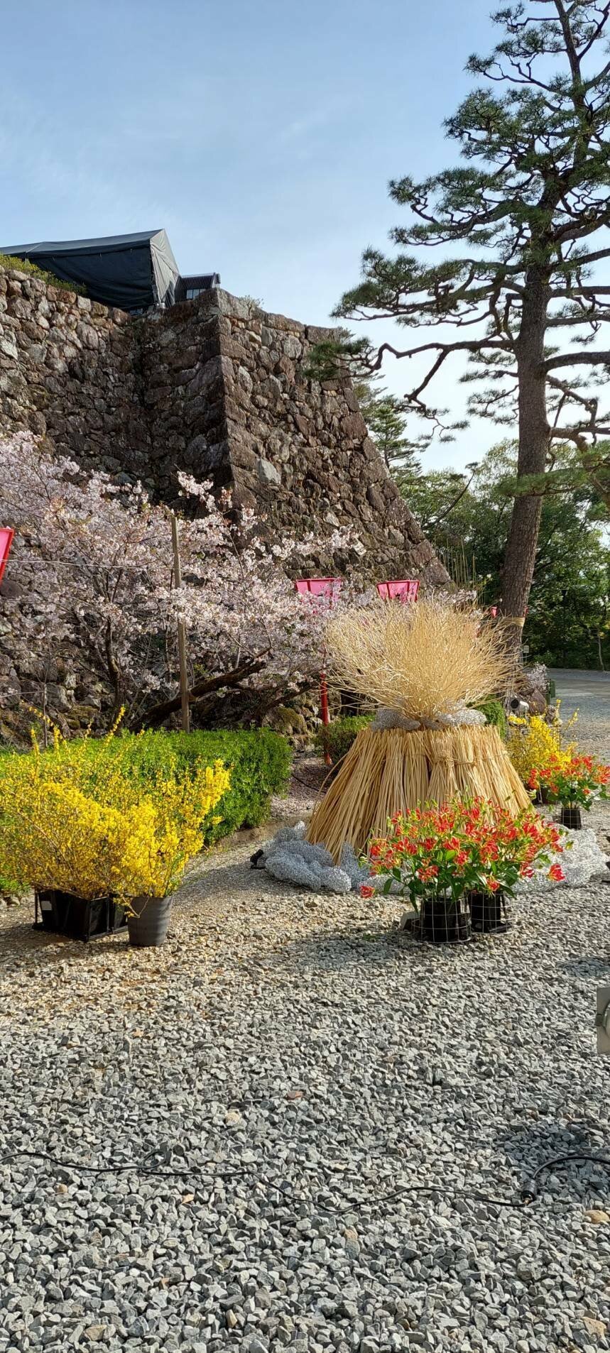 花回廊　2022　⑩.jpg
