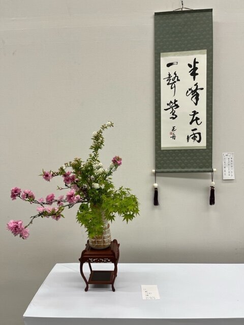 image5.jpeg