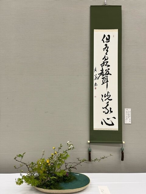 image6.jpeg