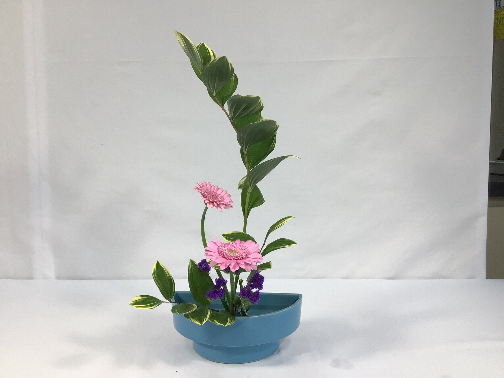 １６　冨田　利華.jpg