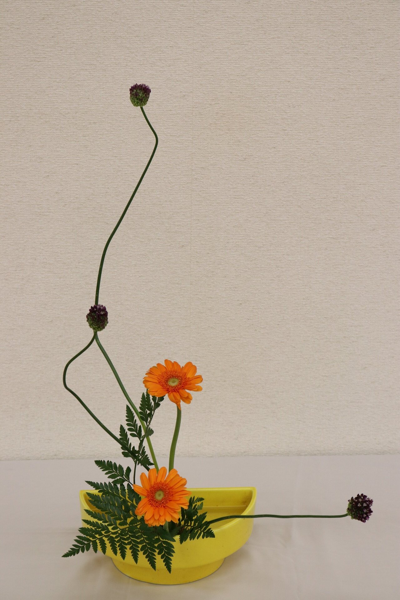 ４　植木綾那.jpg