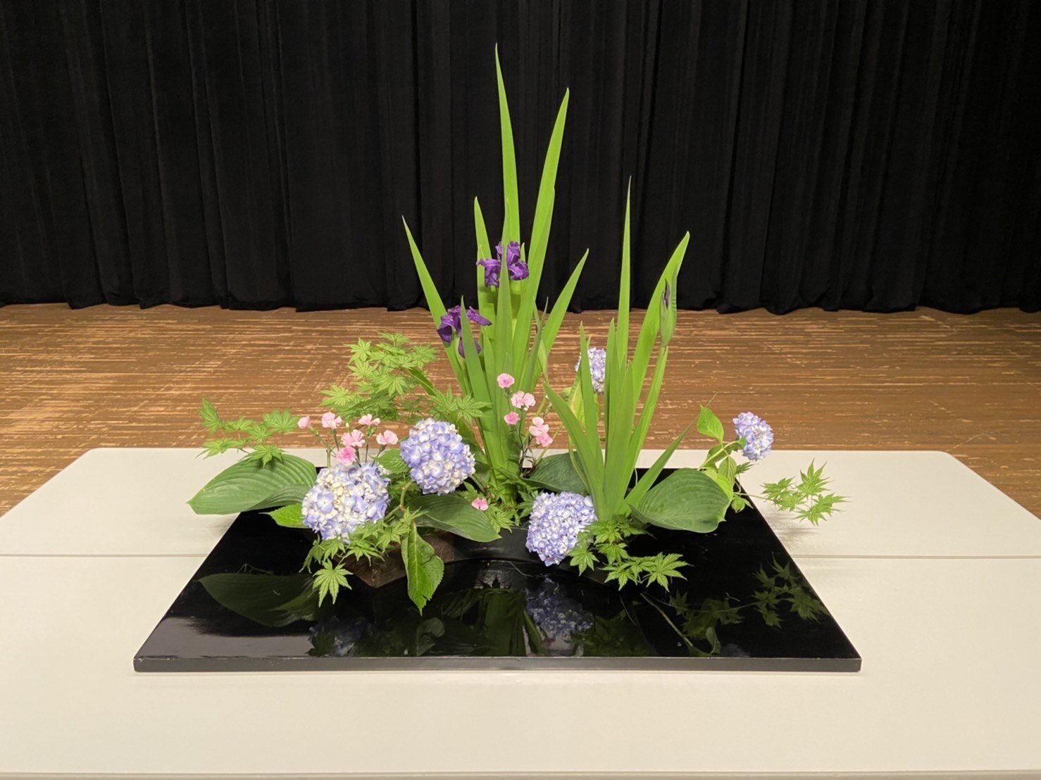 米山先生紫陽花.jpg