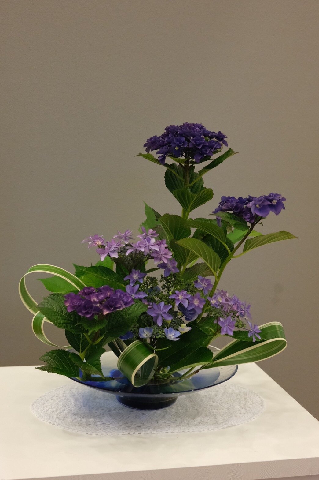 image0.jpeg