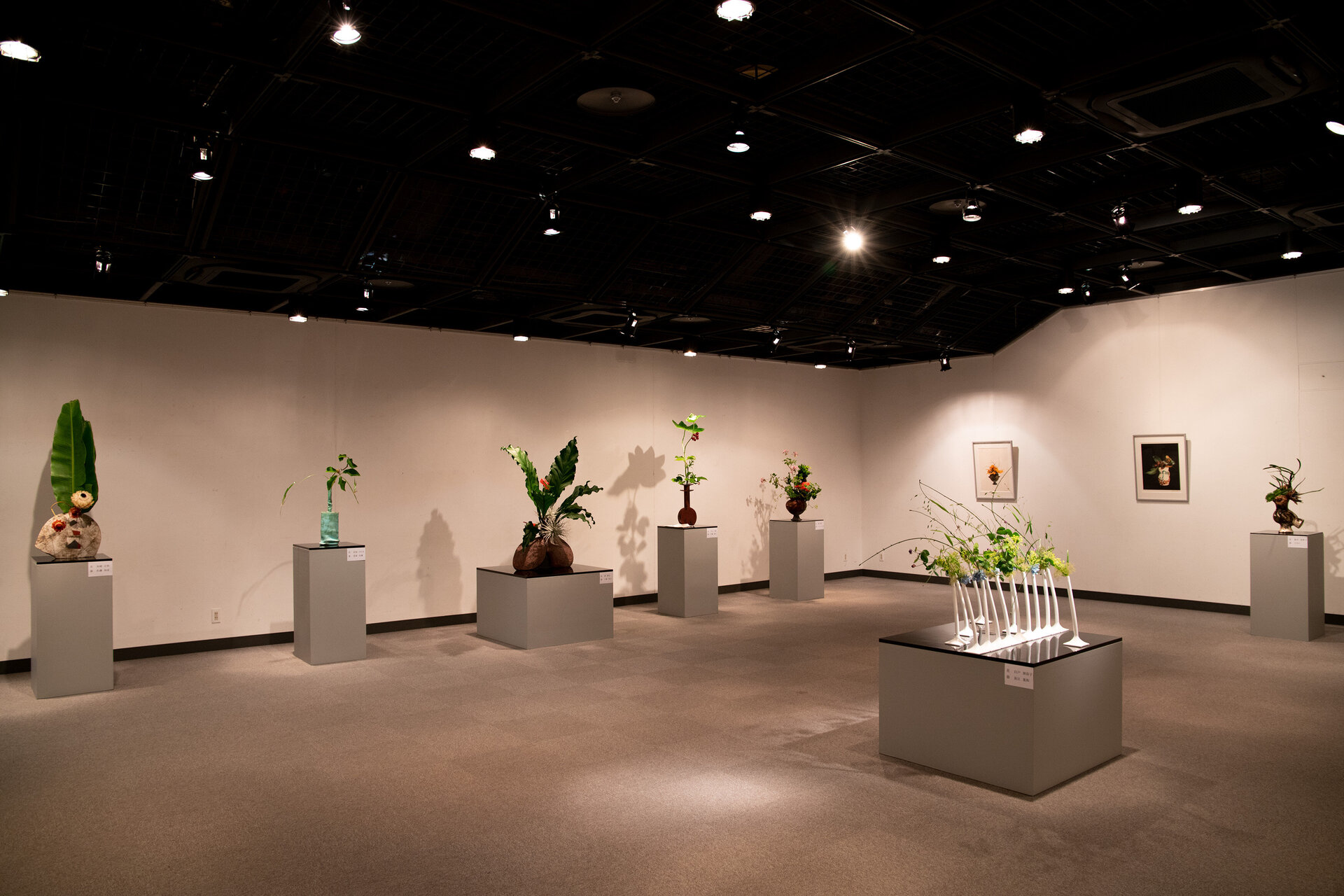 研美展全体写真r.jpg
