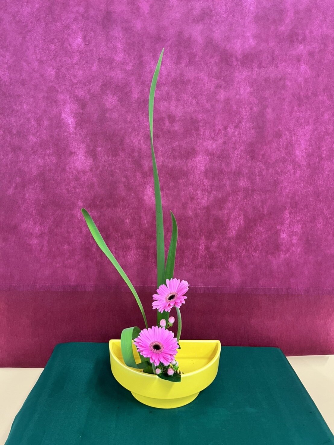 164　渡辺翔子.JPG