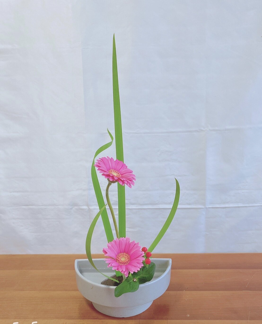 143　井上紗希.jpg