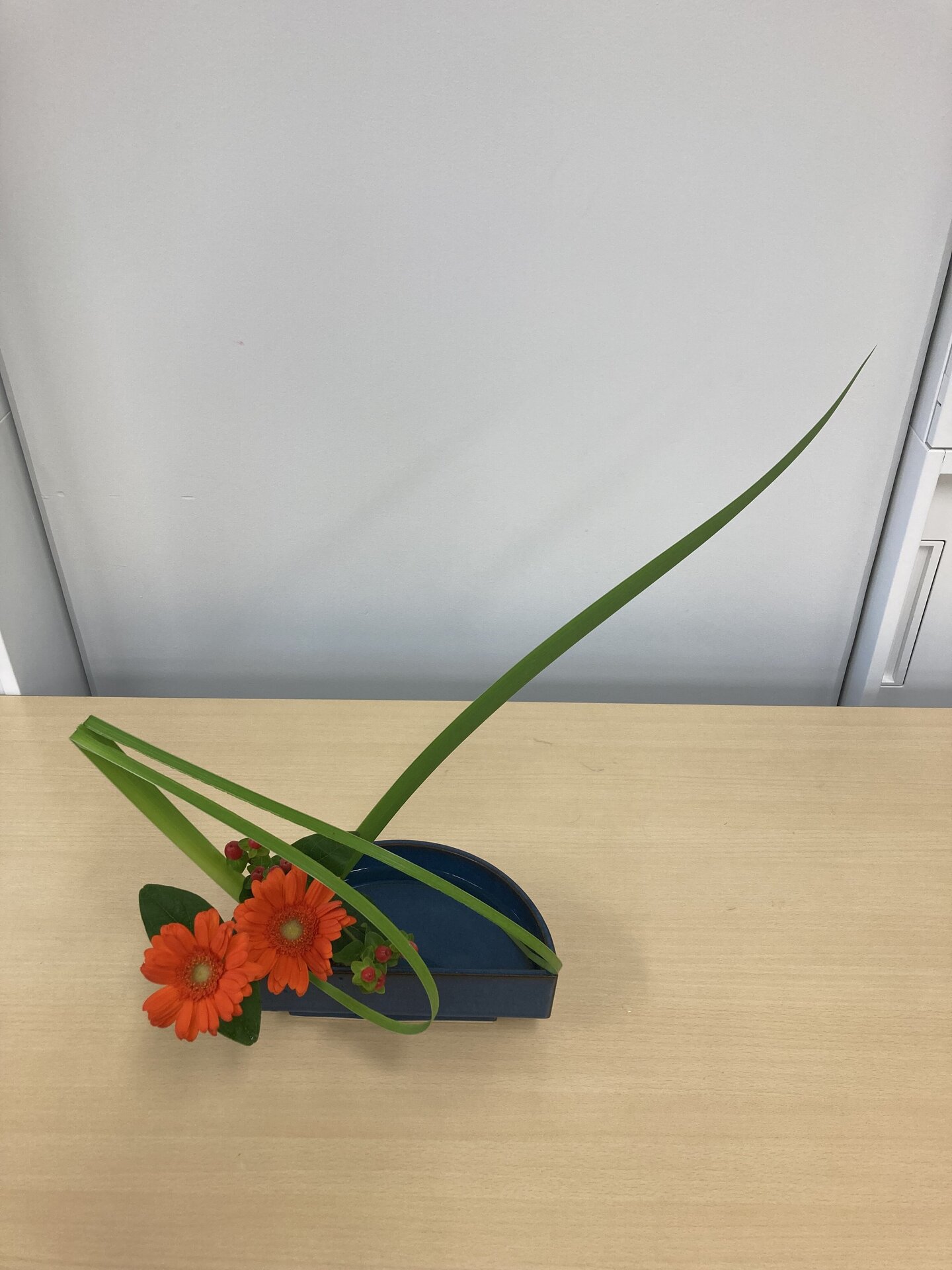 220　草留　佳菜子.jpg