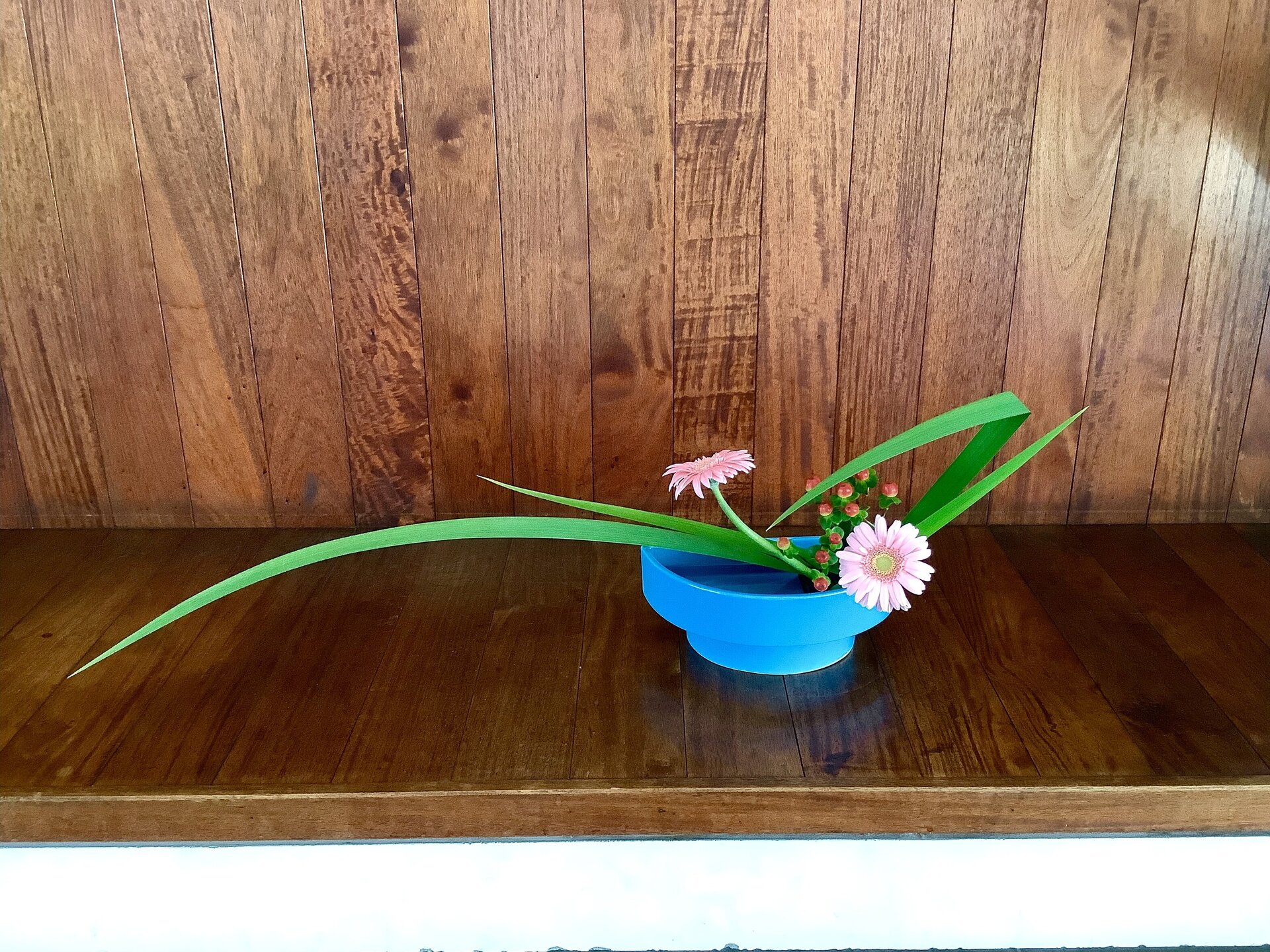 372　細田小桜.jpeg