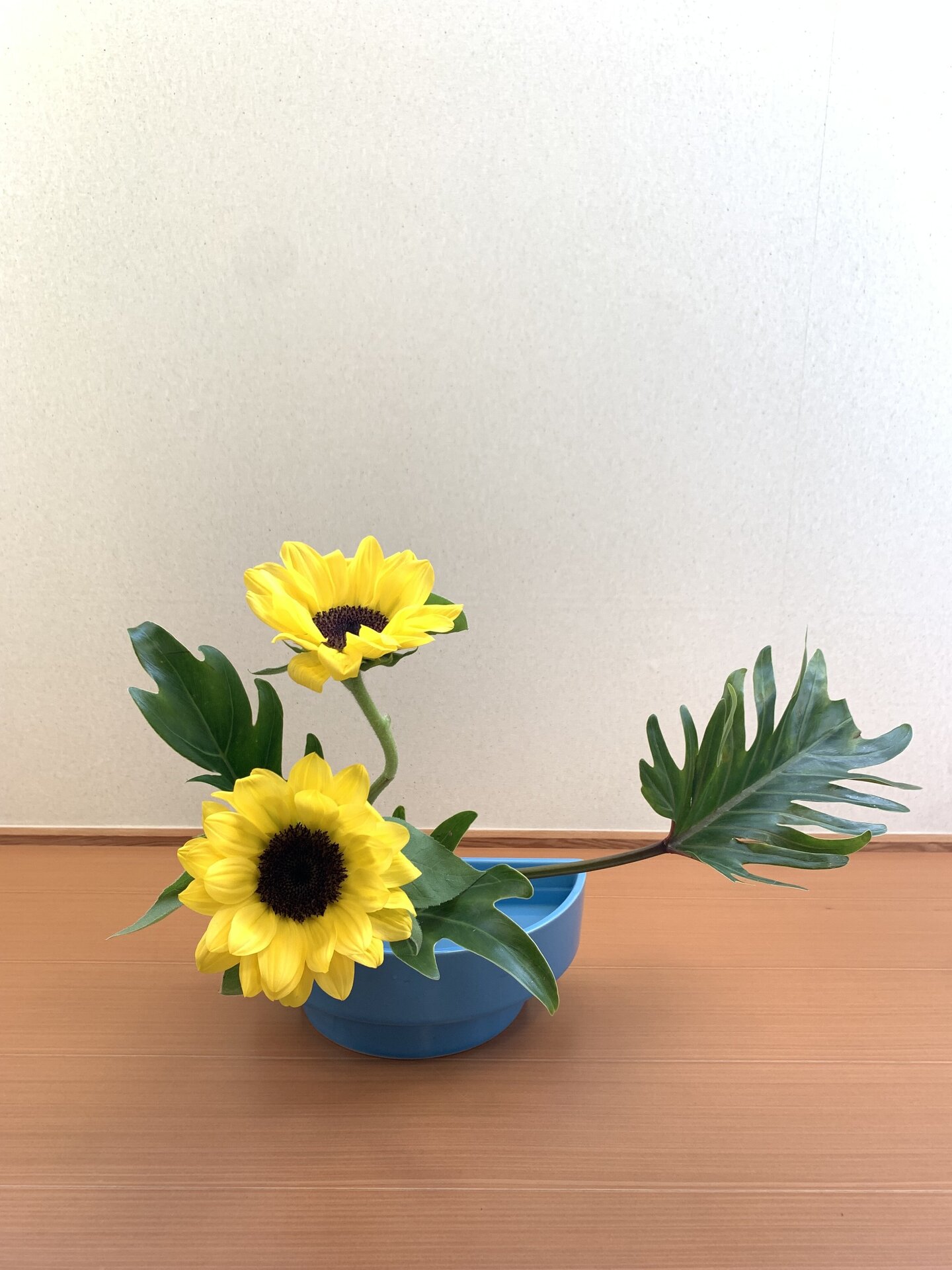 109
松尾明歌音.jpg