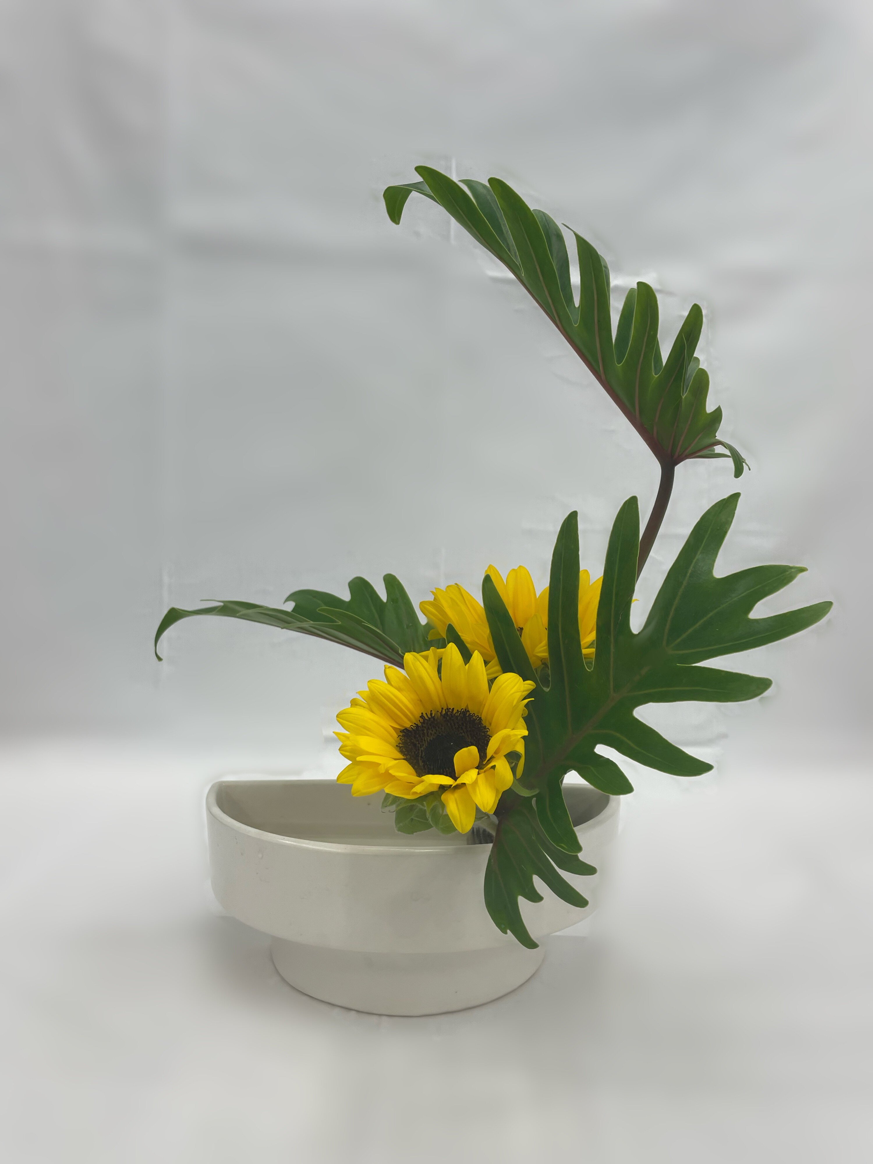 100
長津芹.JPEG