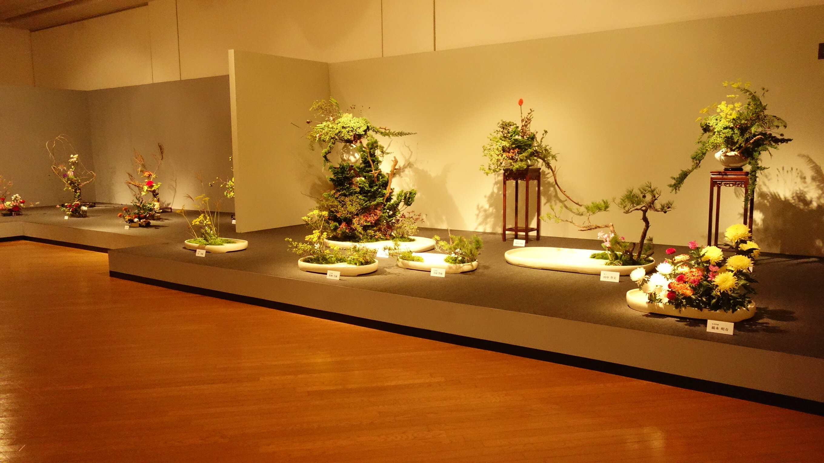 DSC00221.JPG