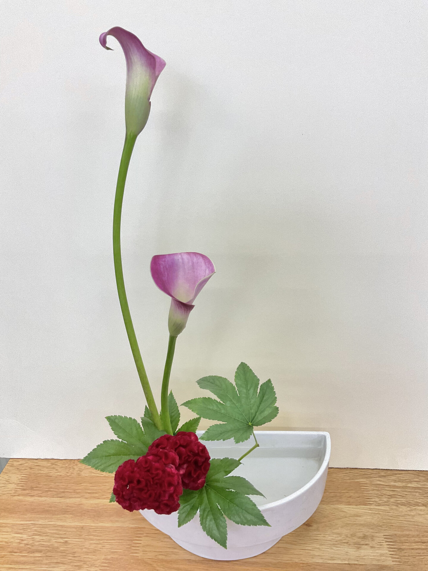 10,近藤咲友稀.jpg