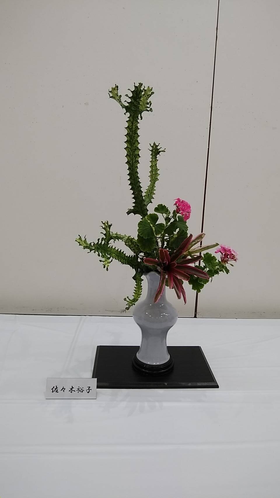 IMG_2530.JPG